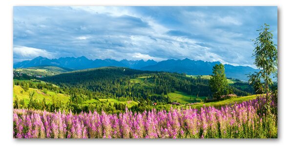 Fotografie imprimată pe sticlă Lavanda în munți
