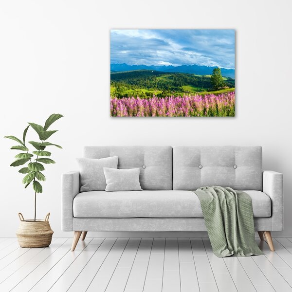 Fotografie imprimată pe sticlă Lavanda în munți