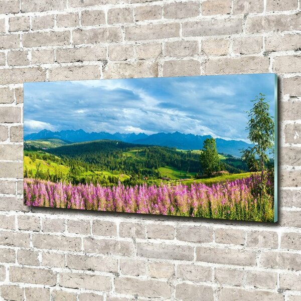 Fotografie imprimată pe sticlă Lavanda în munți