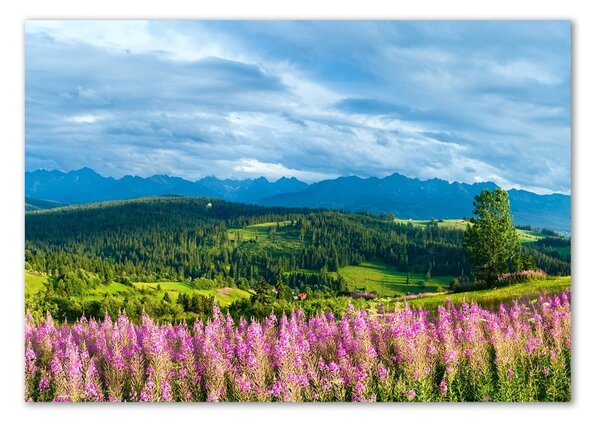 Fotografie imprimată pe sticlă Lavanda în munți