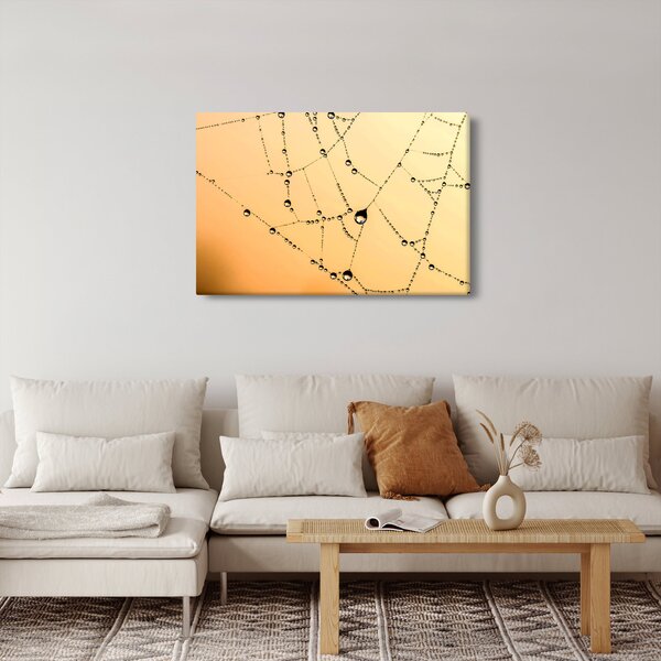 Tablou cu pânză de pâianjen cu rouă (90x60 cm)