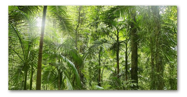Fotografie imprimată pe sticlă padure tropicala