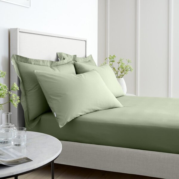 Cearceaf verde din bumbac percal cu elastic 90x190 cm Cotton Percale – Bianca