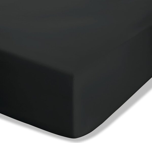 Cearceaf negru din bumbac percale cu elastic 150x200 cm Easy Iron Percale – Catherine Lansfield