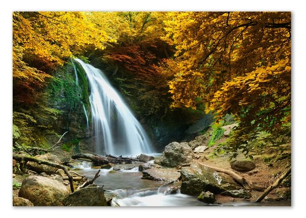Fotografie imprimată pe sticlă Cascada din pădure