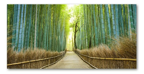 Fotografie imprimată pe sticlă pădure de bambus