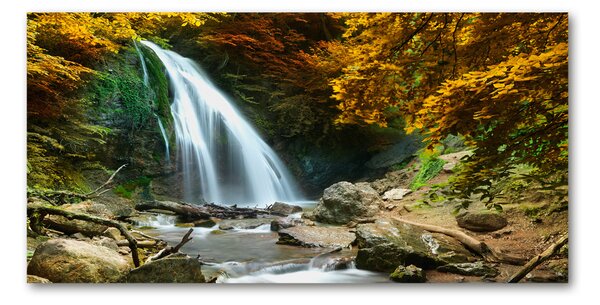 Fotografie imprimată pe sticlă Cascada din pădure