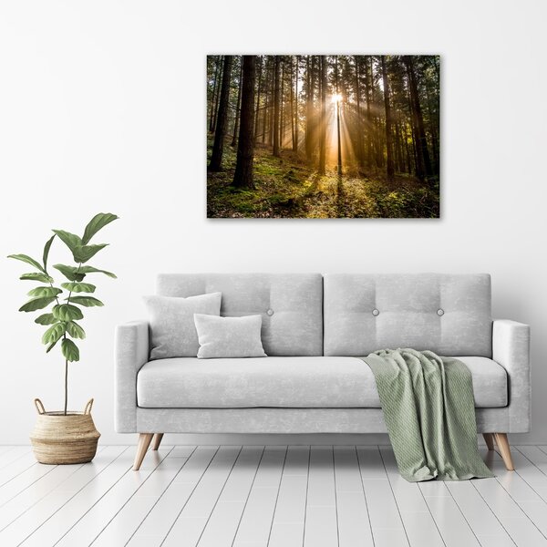 Tablou pe pânză canvas Lumina soarelui