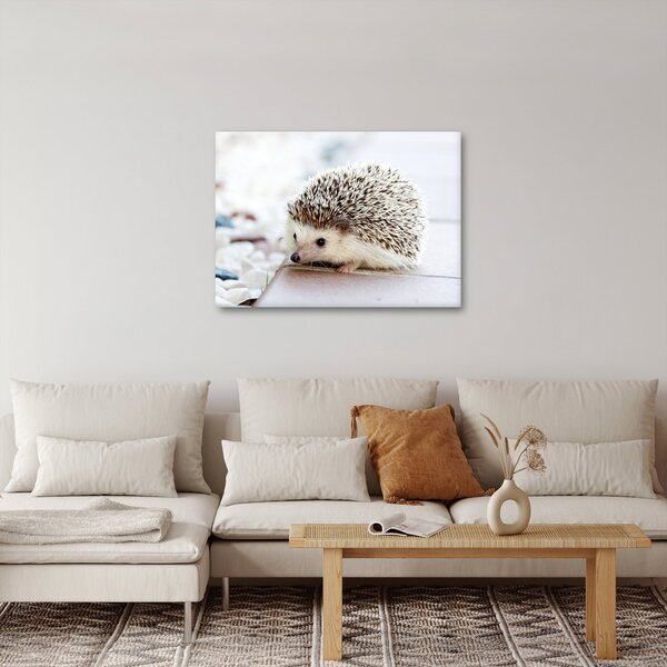 Tablou cu arici (70x50 cm)