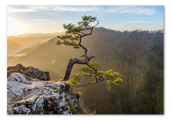 Tablou din Sticlă Pieniny Sokolica