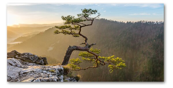 Tablou din Sticlă Pieniny Sokolica
