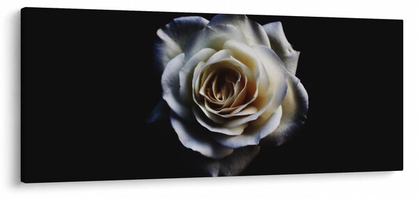 Tablou cu trandafir alb (120x50 cm)