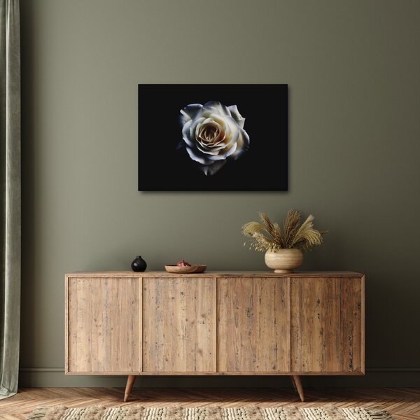 Tablou cu trandafir alb (70x50 cm)