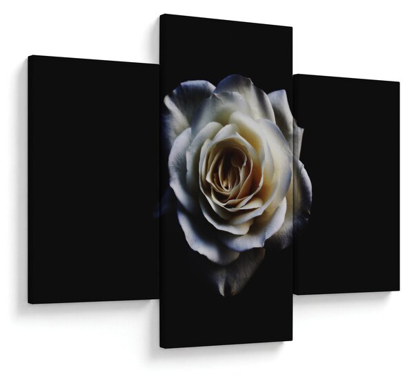 Tablou cu trandafir alb (90x60 cm)