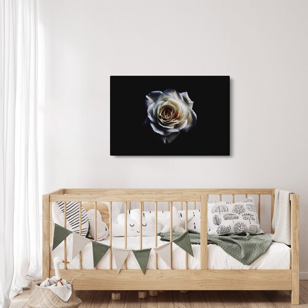 Tablou cu trandafir alb (90x60 cm)