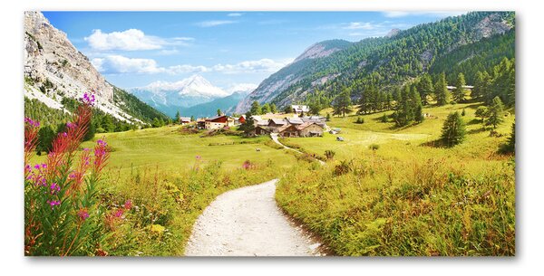 Fotografie imprimată pe sticlă Pășuni în Alpi