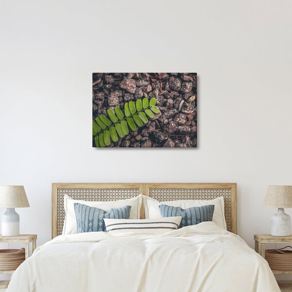 Tablou cu planta verde (70x50 cm)