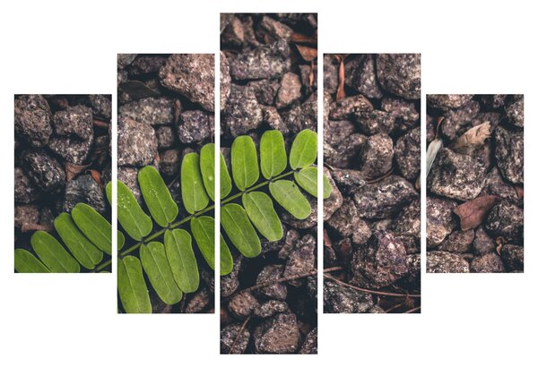 Tablou cu planta verde (150x105 cm)