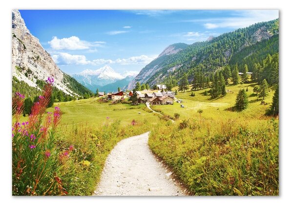 Fotografie imprimată pe sticlă Pășuni în Alpi