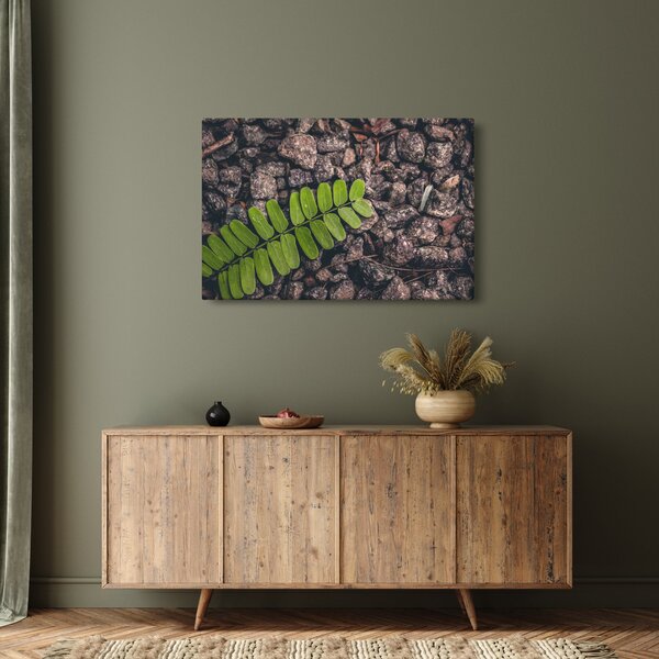 Tablou cu planta verde (90x60 cm)
