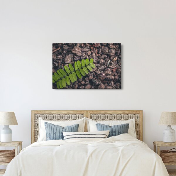 Tablou cu planta verde (90x60 cm)