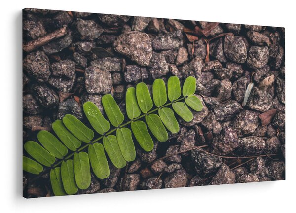 Tablou cu planta verde (90x60 cm)