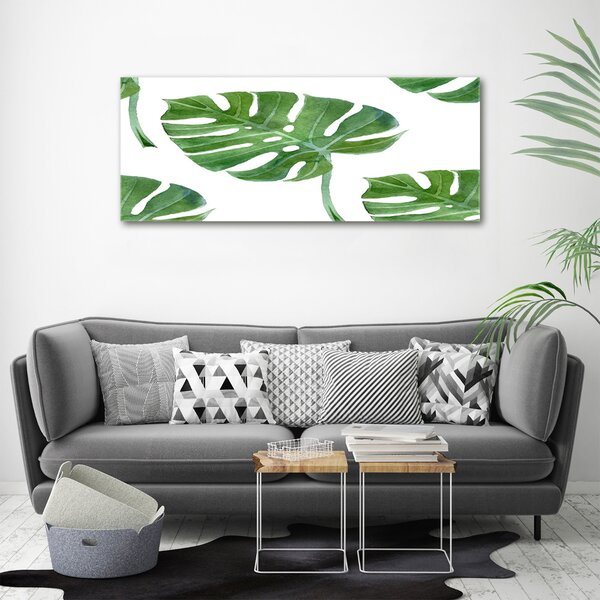 Imagine de sticlă Monstera