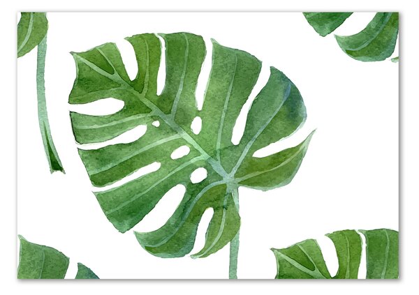 Imagine de sticlă Monstera