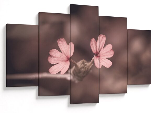 Tablou cu floare roz (150x105 cm)