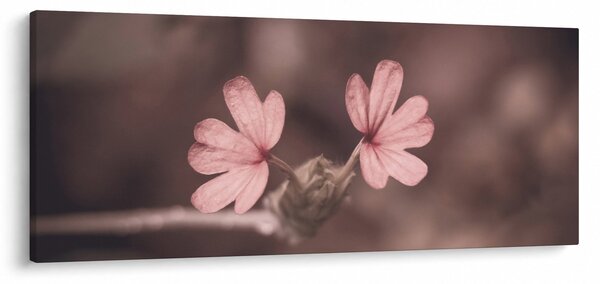 Tablou cu floare roz (120x50 cm)