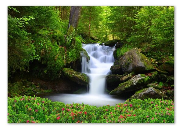 Tablou din Sticlă Cascada din pădure