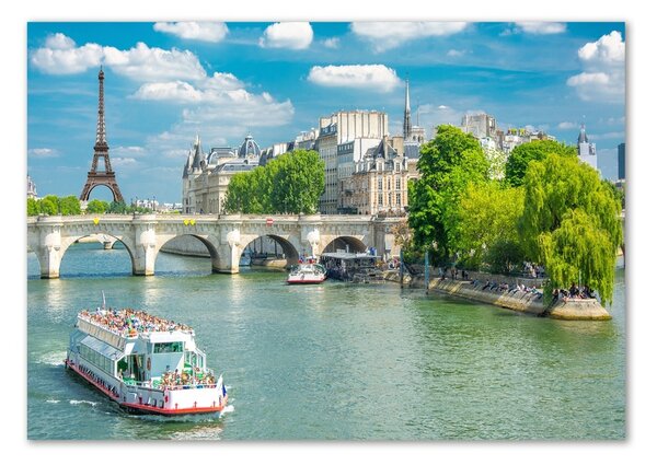 Tablou sticlă Seine din Paris