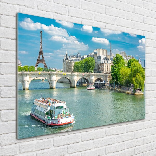 Tablou sticlă Seine din Paris