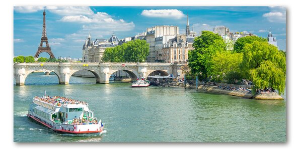Tablou sticlă Seine din Paris