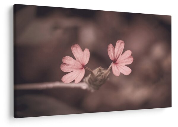Tablou cu floare roz (90x60 cm)