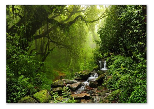 Tablou pe pe sticlă Jungle în Nepal