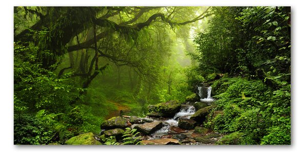 Tablou pe pe sticlă Jungle în Nepal