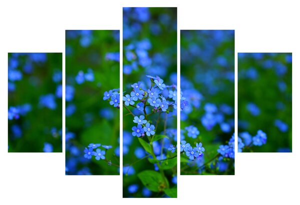Tablou cu flori albastre (150x105 cm)