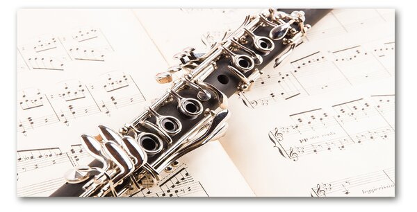 Tablou Printat Pe Sticlă Clarinet
