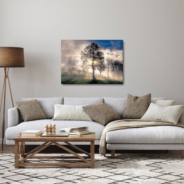 Tablou cu copac în ceață (70x50 cm)