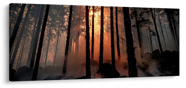 Tablou cu pădure întunecată (120x50 cm)