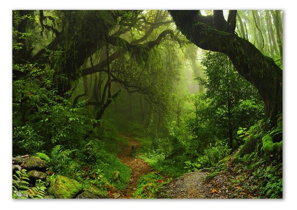 Tablou din Sticlă Jungle în Nepal