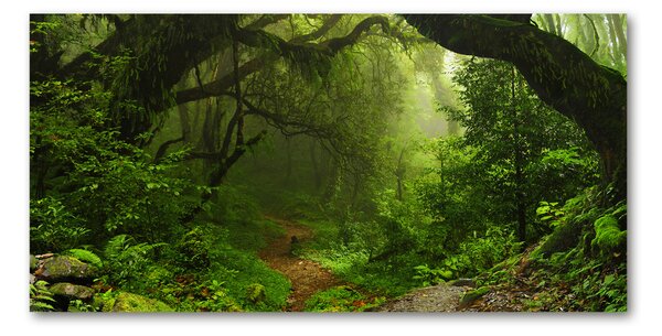 Tablou din Sticlă Jungle în Nepal