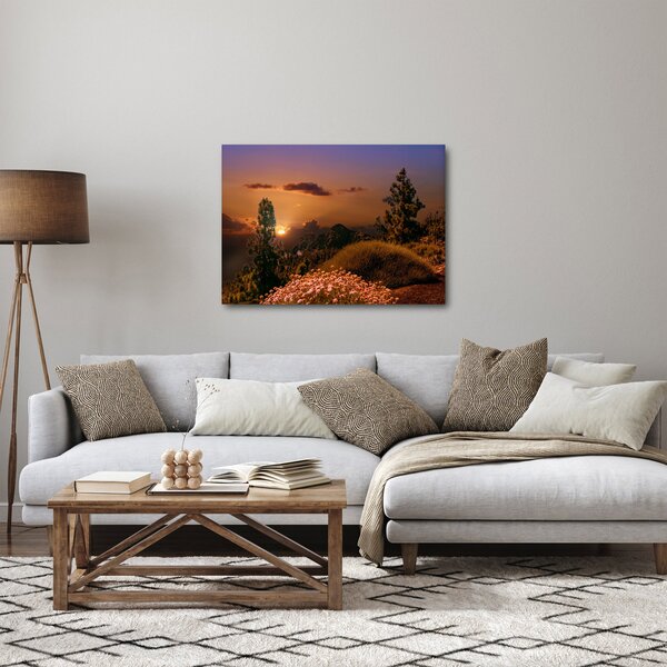 Tablou naturii cu apus de soare (70x50 cm)
