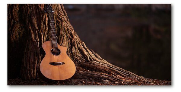 Tablou Printat Pe Sticlă Chitara acustica