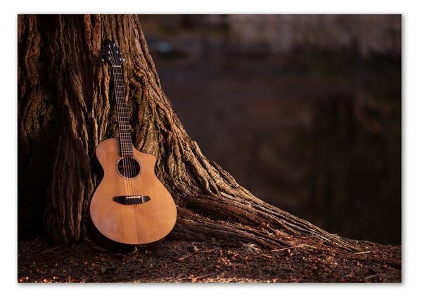 Tablou Printat Pe Sticlă Chitara acustica