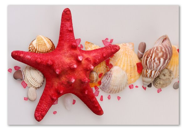 Tablou Printat Pe Sticlă Starfish și scoici