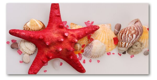 Tablou Printat Pe Sticlă Starfish și scoici