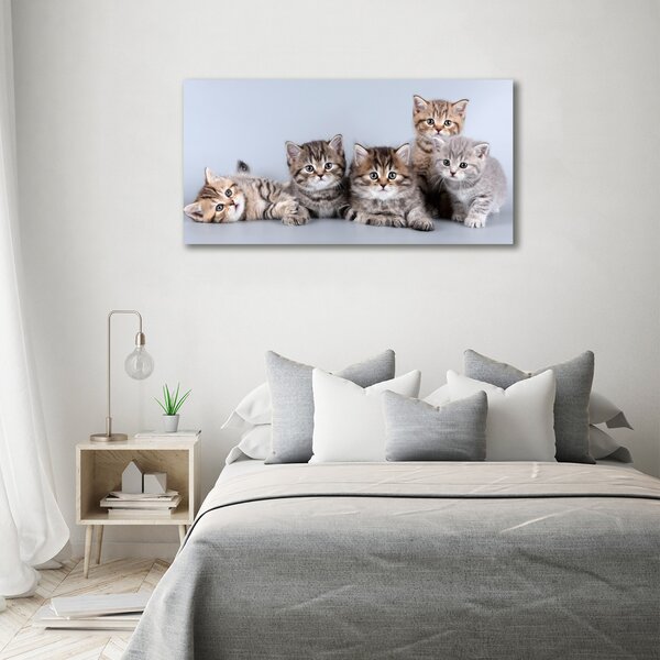 Tablou pe pânză canvas cinci pisici