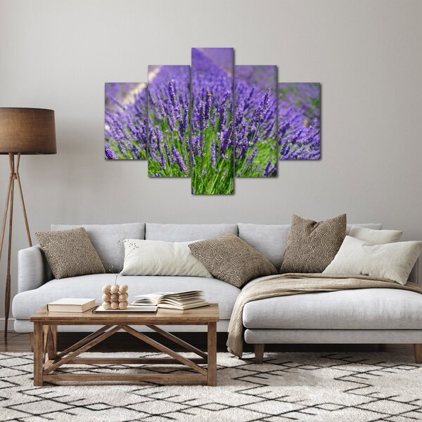 Tablou - lavanda (150x105 cm)